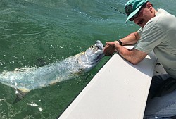 Tarpon Fishing in the Florida Keys