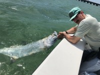 Tarpon Fishing