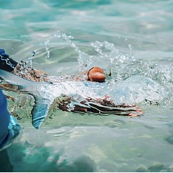 Bonefish in the Florida Keys