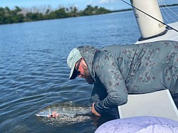 Bonefish in the Florida Keys