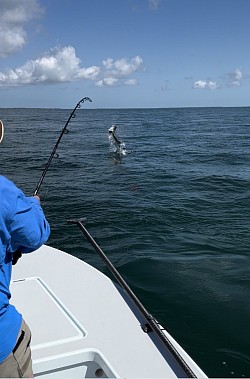 Tarpon Fishing in the Florida Keys