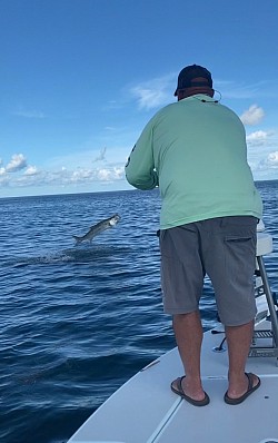 Tarpon Fishing in the Florida Keys