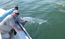 Tarpon Fishing in the Florida Keys