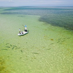 Tarpon Fishing in the Florida Keys